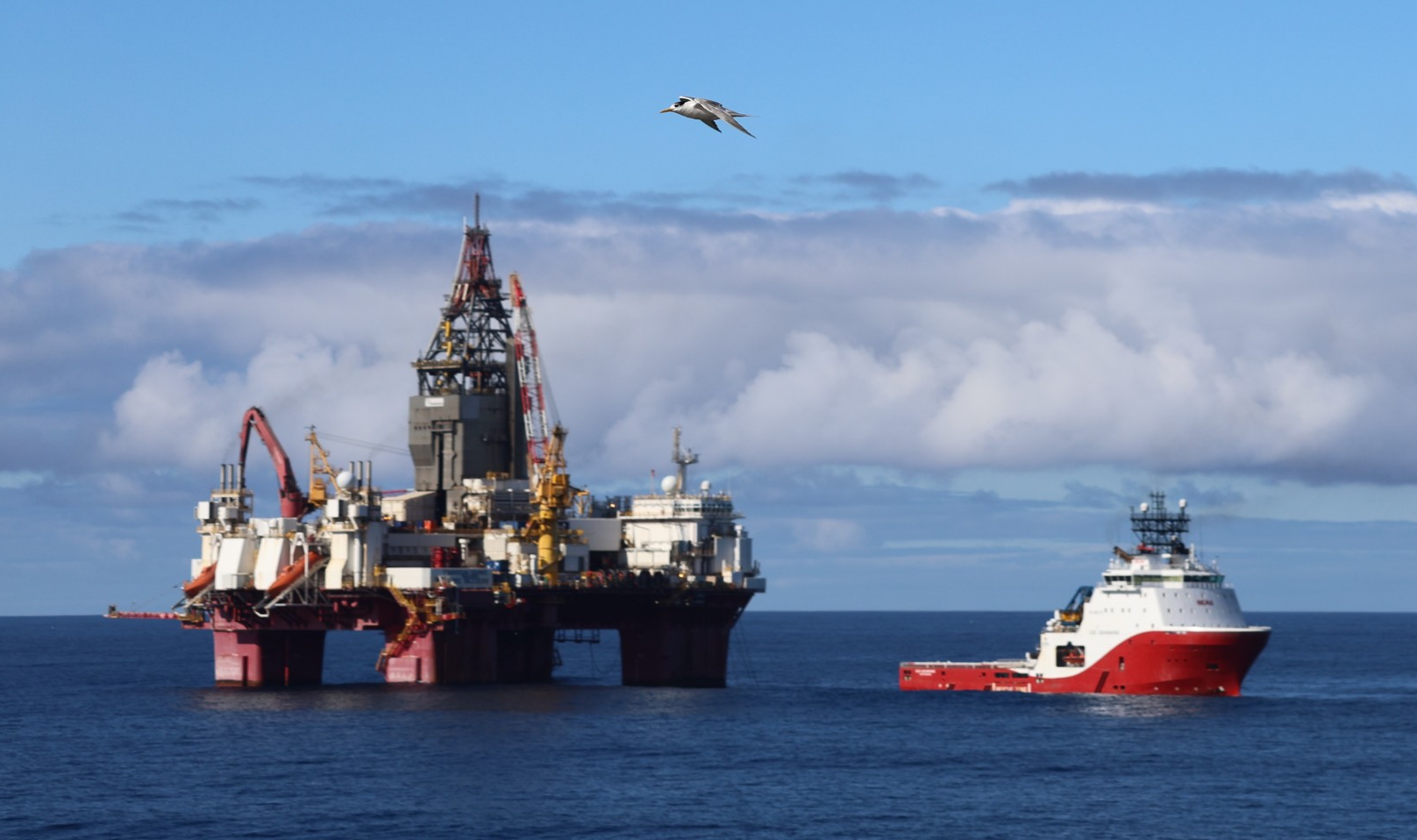 Elysia-Gustafson-Equinox-Rig-Sea1-Aquamarine-and-Crested-Tern
