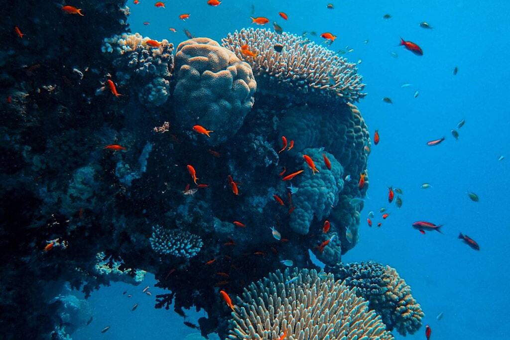 All Research Categories