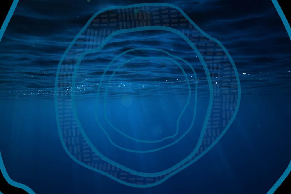 Offshore Carbon Capture and Sequestration National Action List under the Environment Protection (Sea Dumping) Act 1981 | DCCEEW