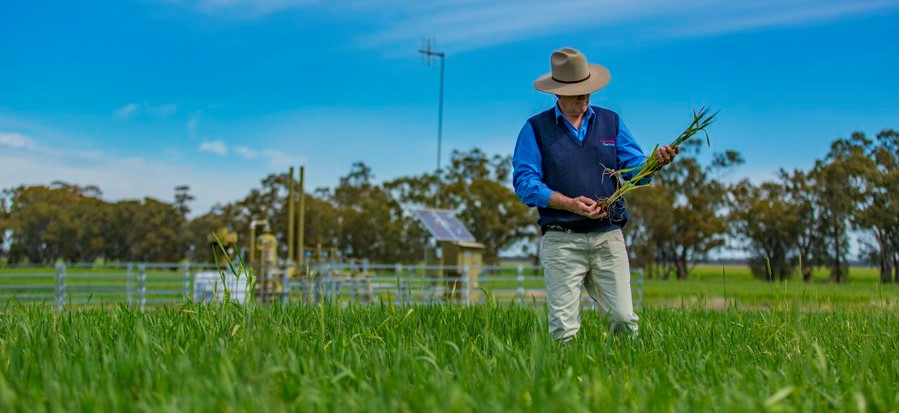 Media release: APPEA welcomes court decision on the Narrabri Gas Project