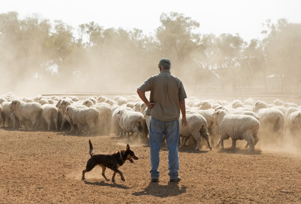 Recognising Australia’s farmers on National Agriculture Day